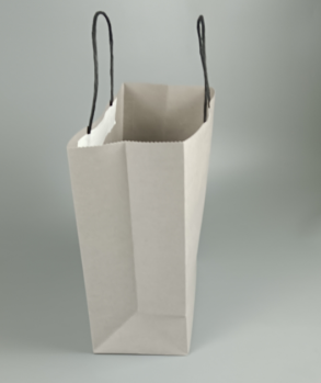 shopping bag2
