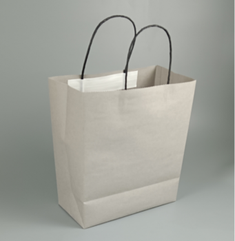 shopping bag2